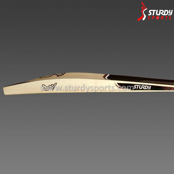 Sturdy Cobra Kashmiri Double Willow (SH) - Training - Sturdy - Sturdy Sports