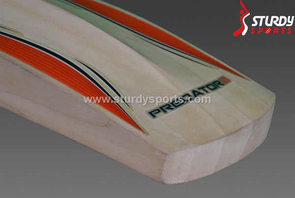 Gray Nicolls Predator GN5 Cricket Bat - Senior - English Willow - Mens (SH) - Gray Nicolls - Sturdy Sports