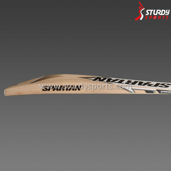 Spartan Rhino 3 Cricket Bat - Senior - English Willow - Mens (SH) - Spartan - Sturdy Sports