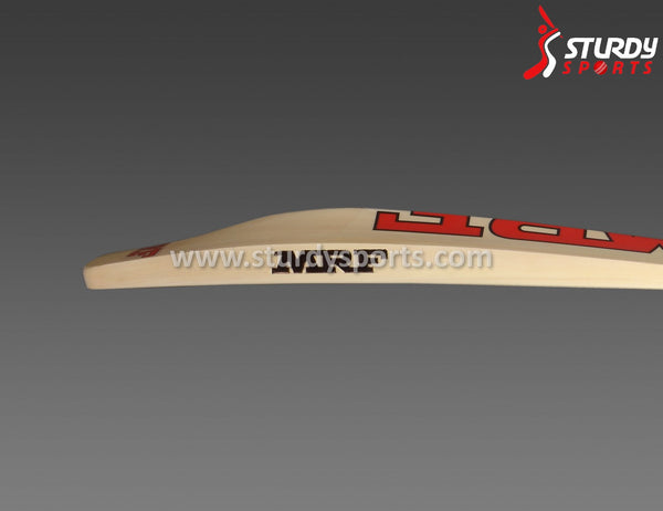 MRF Virat Kohli Genius Grand Edition Junior Cricket Bat - Size 5 - English Willow - Youth / Boys - MRF - Sturdy Sports