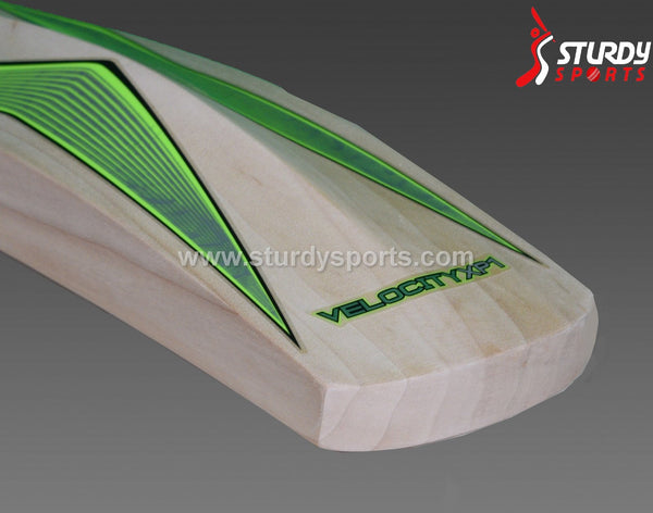 Gray Nicolls Velocity XP1 GN3.5 Cricket Bat - Senior - English Willow - Mens (SH) - Gray Nicolls - Sturdy Sports