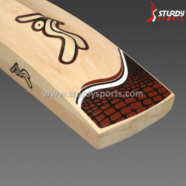 Sturdy Cobra Kashmiri Double Willow (SH) - Training - Sturdy - Sturdy Sports