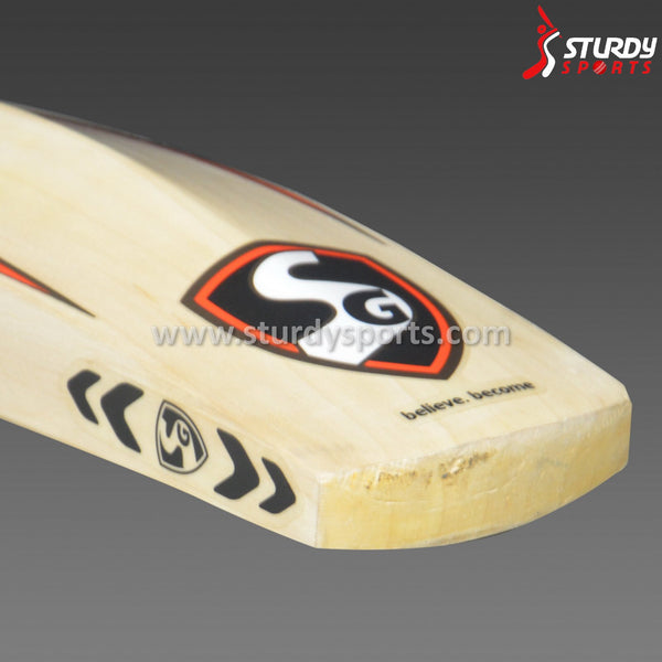 SG Sunny Gold Player Cricket Bat - Senior - English Willow - Mens (SH) - SG - Sturdy Sports