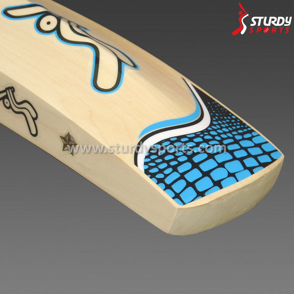 Sturdy Beast Cricket Bat - Senior - English Willow - Mens (SH) - Sturdy - Sturdy Sports