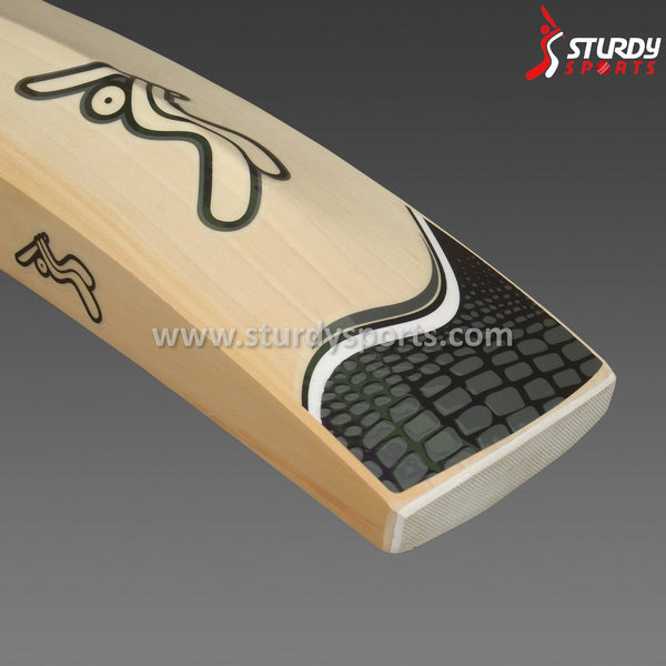 Sturdy Rhino Cricket Bat - Senior - English Willow - Mens (SH) - Sturdy - Sturdy Sports