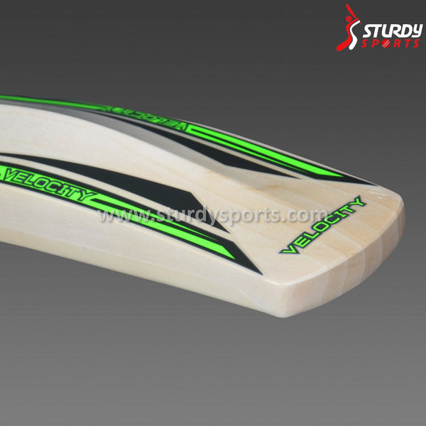 Gray Nicolls Velocity 900 Cricket Bat - Senior - English Willow - Mens (SH) - Gray Nicolls - Sturdy Sports