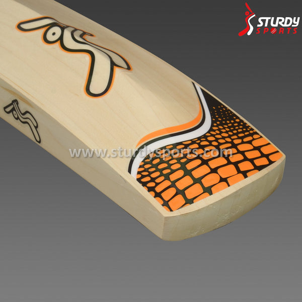 Sturdy Cheetah Cricket Bat - Senior - English Willow - Mens (SH) - Sturdy - Sturdy Sports