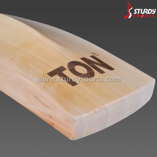 SS Single S Blue Cricket Bat - Senior - English Willow - Mens (SH) - SS - Sturdy Sports