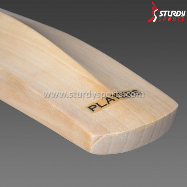 Gray Nicolls Player GN9 (SH) - English Willow - Mens (SH) - Gray Nicolls - Sturdy Sports