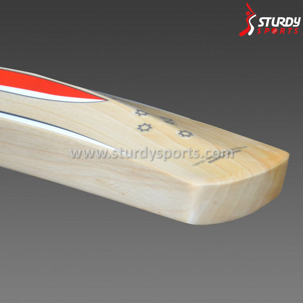 Gray Nicolls Giant Cricket Bat - Senior - English Willow - Mens (SH) - Gray Nicolls - Sturdy Sports