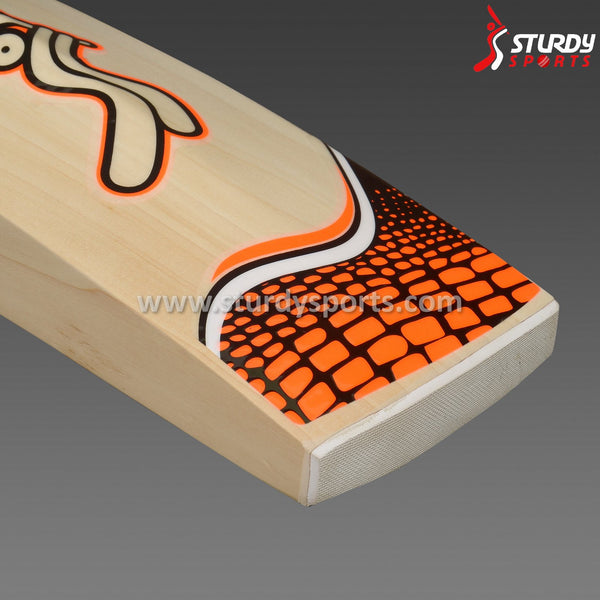 Sturdy Komodo Cricket Bat - Senior - English Willow - Mens (SH) - Sturdy - Sturdy Sports