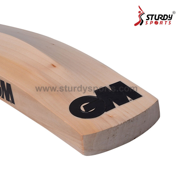 GM Noir Cosmic Cricket Bat - Senior - English Willow - Mens (SH) - GM - Sturdy Sports